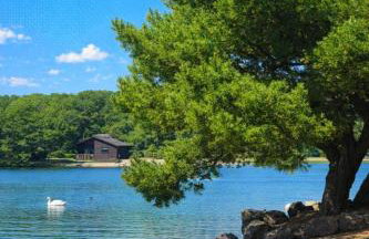 Swanmere lodge, Lakeside view Pinelake Carnforth - Foto 3