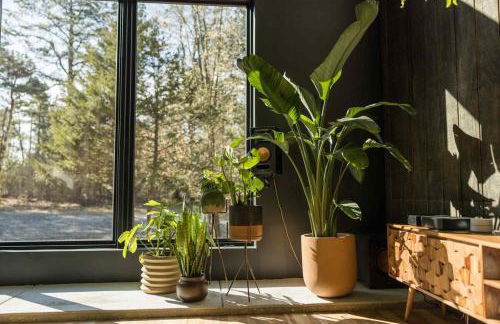 Lokal Chalet - Modern Cabin in the NJ Pine Barrens - Foto 11