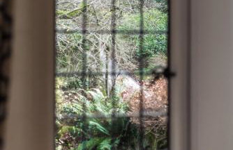 Hideaway country cottage near Edinburgh - Foto 18