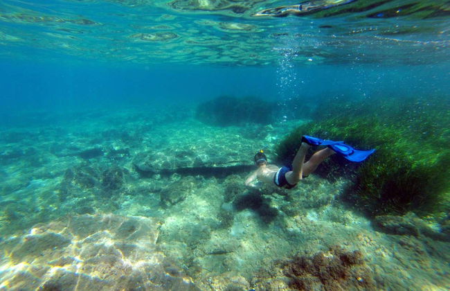 Kayak y snorkel en el Cabo de Gata - Foto 7