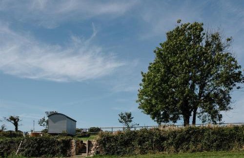 Shepherds Hut at Chenhall Farm - Photo 33