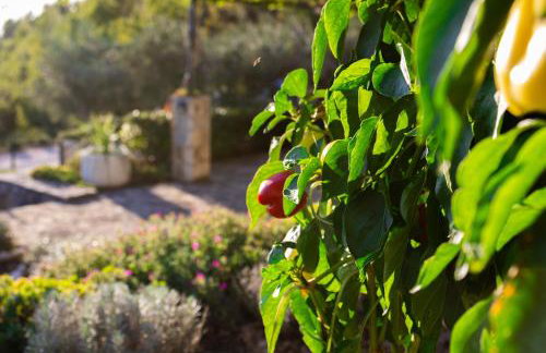 Holiday home Oaza - Foto 42