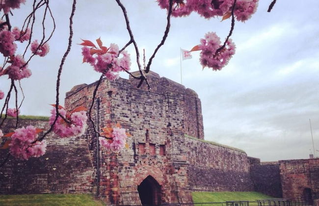 Pheasant Lodge Scottish Borders - Foto 26