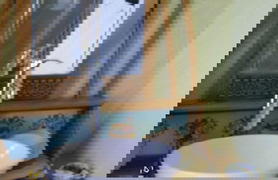 De Reus van Horebeke - Photo 30