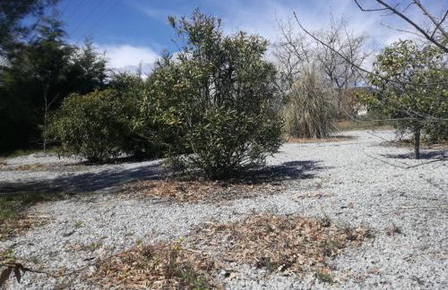 Quinta Rural - Nossa Sra do Carmo. Teixoso - Foto 45