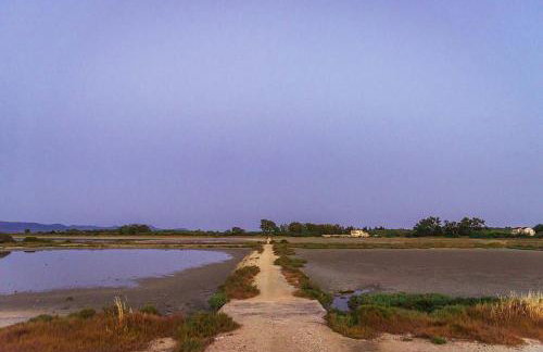 Krasospito 1850 - a Corfiot Wine House Reborn - Foto 75