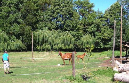 Rural Pool Retreat in the Hills - Foto 20