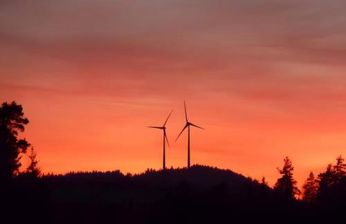 Haus Harter - Foto 13