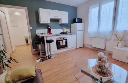 T1 bis Dijon - Foto 13