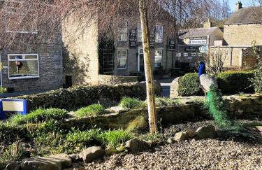 Black Dog House - Foto 34