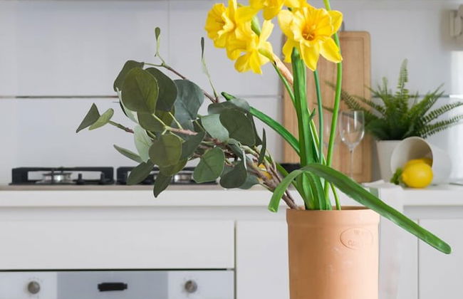 HouSmart Nazario Sauro 15 - Foto 26