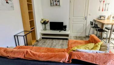 F2 garage box WiFi terasse clim Gare Fac Eco Richter - Photo 2