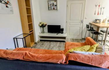 F2 garage box WiFi terasse clim Gare Fac Eco Richter - Photo 2