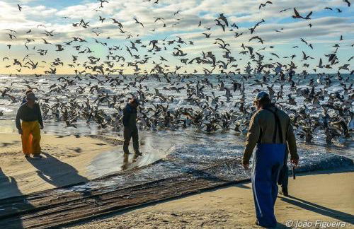 Dom Quixote apartamentos turísticos - Foto 39