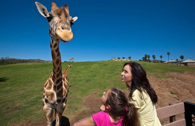 Billet pour le San Diego Zoo Safari Park - Photo 2