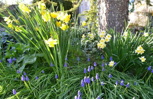 Gîte de charme proche du Zoo Beauval et Châteaux - Photo 45