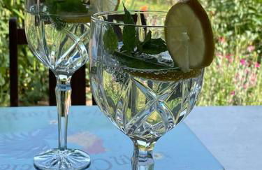 Apartment mit romantischem Garten an der Märchenstraße! - Foto 1