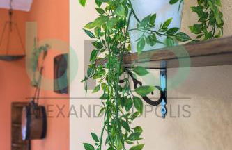 Harmony Hideaway - Foto 72