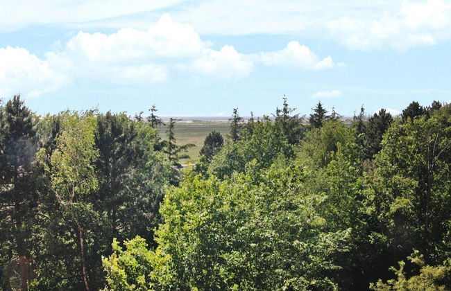 Ferienwohnung, St. Peter-ording - Photo 10