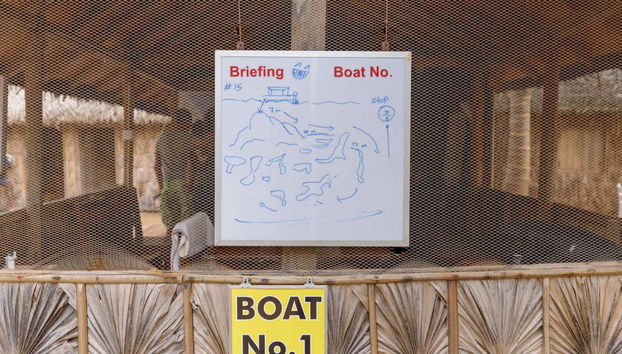 Nilaveli Fun Diving for Certified Divers - Foto 3