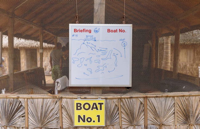 Buceo en Nilaveli - Foto 3