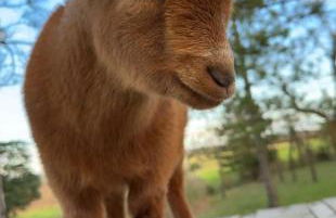 Domaine Saladry - Foto 73