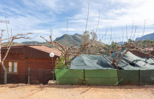 Falaguera Barraca 3 - Foto 18