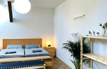 P6 - Familienwohnung am Park und Saale - Foto 17