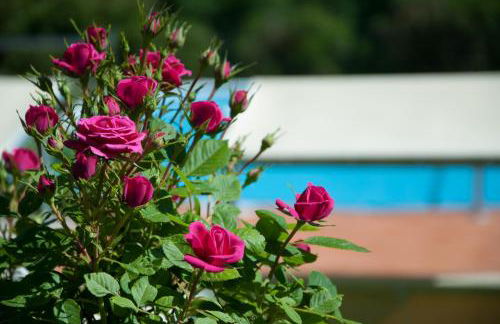 Casa del Merlo - Foto 1