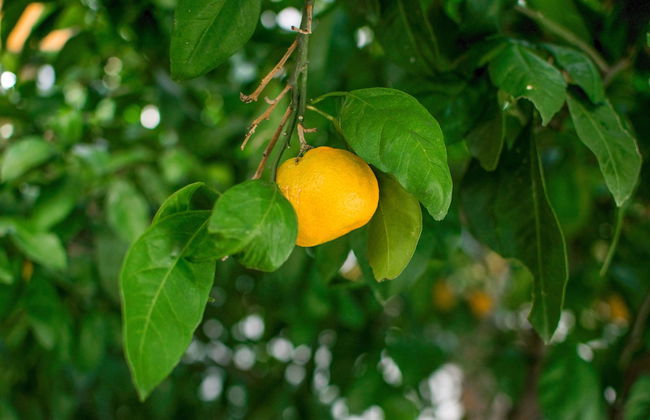 Apartment Misura - Peaceful Location - Foto 36