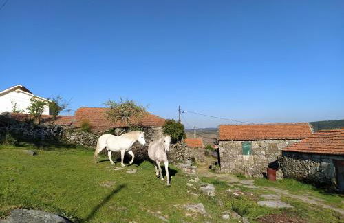 Aldeia de Moura Morta - Foto 10