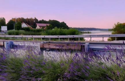 Wrzosowy Młyn - Twoje miejsce nad Jeziorem - Foto 13
