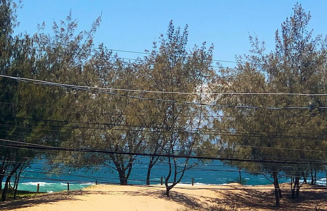 Casa Campeche - 100m da Praia - Photo 25