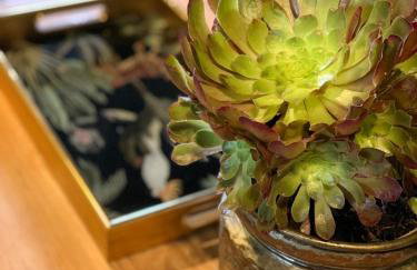 Hidden gem in heart of Breckland - Foto 52