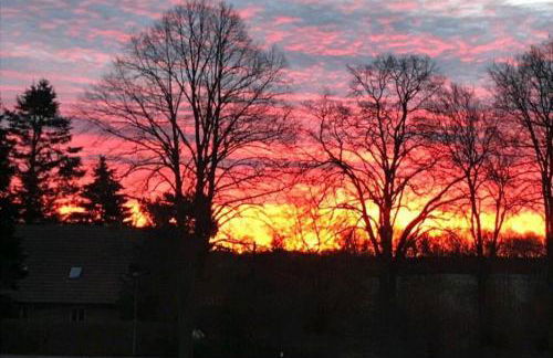 Ferienwohnung Lindenallee - Photo 7