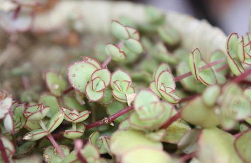 Quinta do Casal da Bica - Foto 37