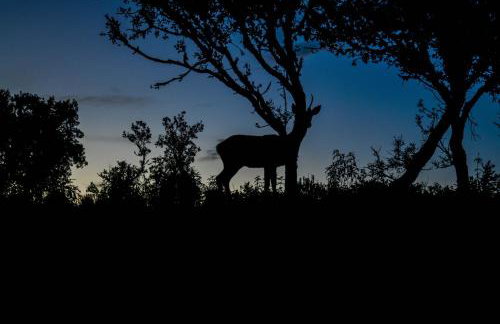 Villamaría, Alma de Despeñaperros - Foto 25