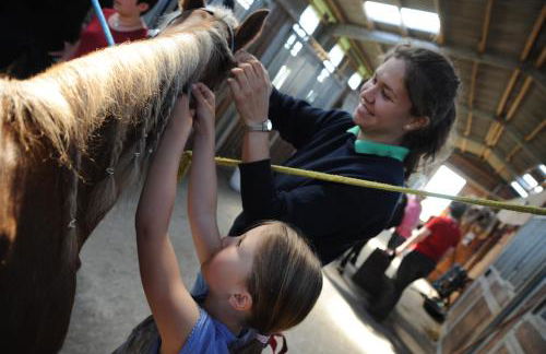 Bauernhof Koehlbrandt - Foto 72