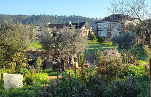 Horto do Amor - Foto 19