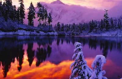 Bellingham A-Frame - Hot tub - Fireplace - Firepit - Foto 22