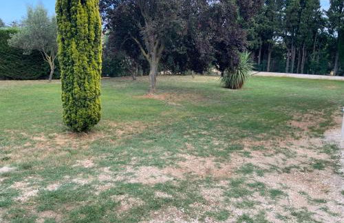 gite les oliviers 10 pers piscine au calme 4 Etoiles - Foto 52