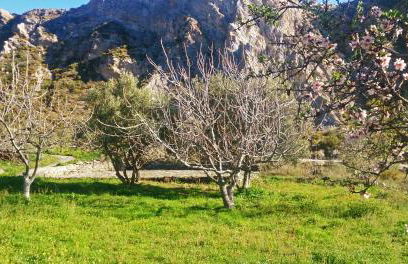 Cortijo AguaChá - Foto 28