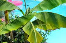 Maison spacieuse avec piscine et jardin - Foto 25