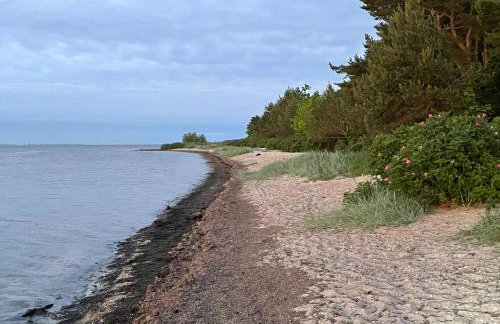 Przystanek Puck - Photo 14