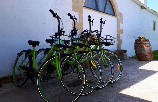 Masseria Costarella - Photo 28