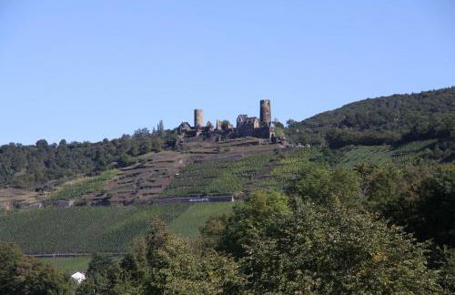 Ferienwohnungen im Moseltal - Foto 76