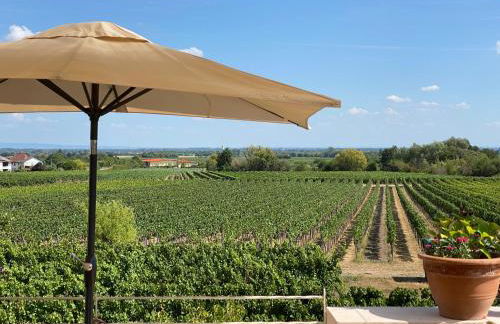 Ferienwohnung Rebenmeer - Foto 13