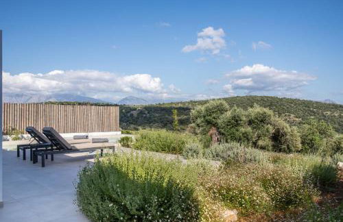 Mesogi Villas, brand new modern, stylish villas, private pool, seaviews - Photo 57