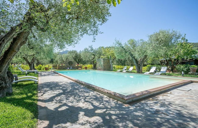 Buen Camino SSA - Foto 24