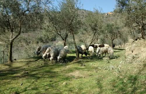 Agriturismo Borgo Mocale - Foto 26